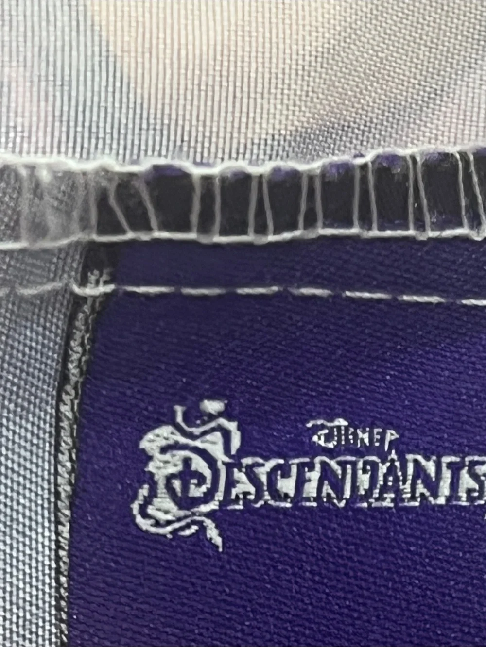 Disney Descendants 3 Pillowcases Set of 2 Two-Sided Mal Evie Uma Audrey